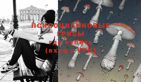 твердый Козловка