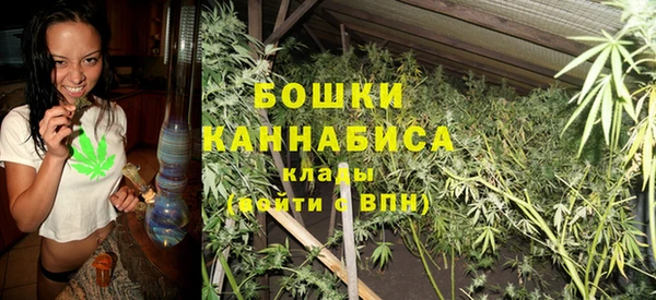 прущая мука Корсаков