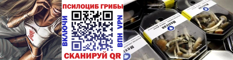 сколько стоит Сухиничи Галлюциногенные грибы Psilocybe